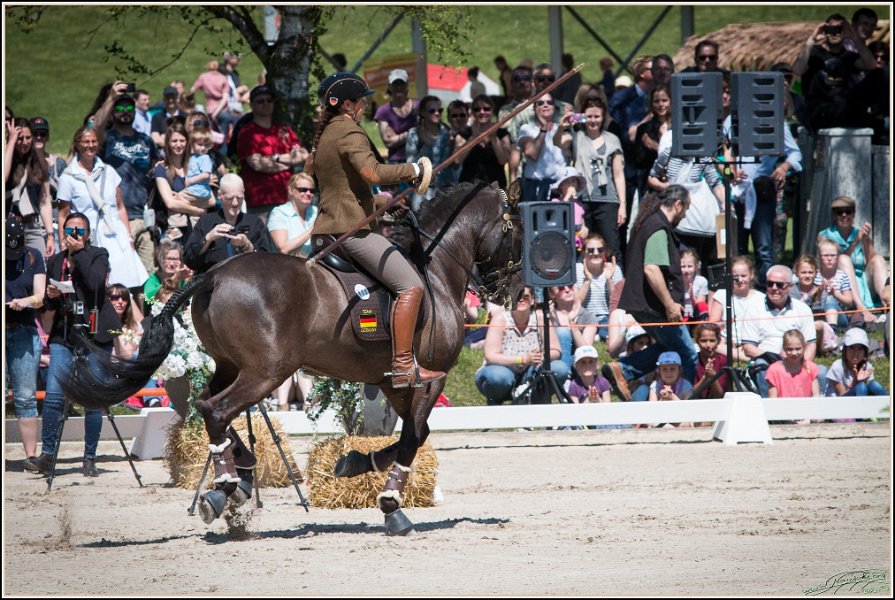 Pferd International 108